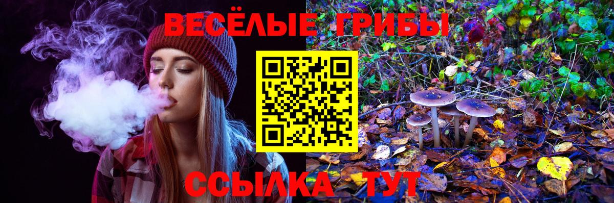 Псилоцибиновые грибы Cubensis  Псилоцибиновые грибы мухоморы  Вход с VPN  Аргун 